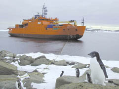 Photo of Aurora Australis