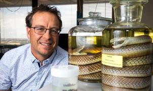 Prof Geoffrey Isbister