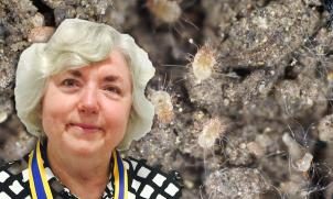 Associate Professor Sheryl van Nunen