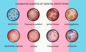 Dr Denton Callander and Mr Teddy Cook