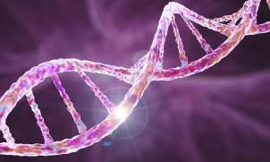 Associate Professor Paul Lacaze